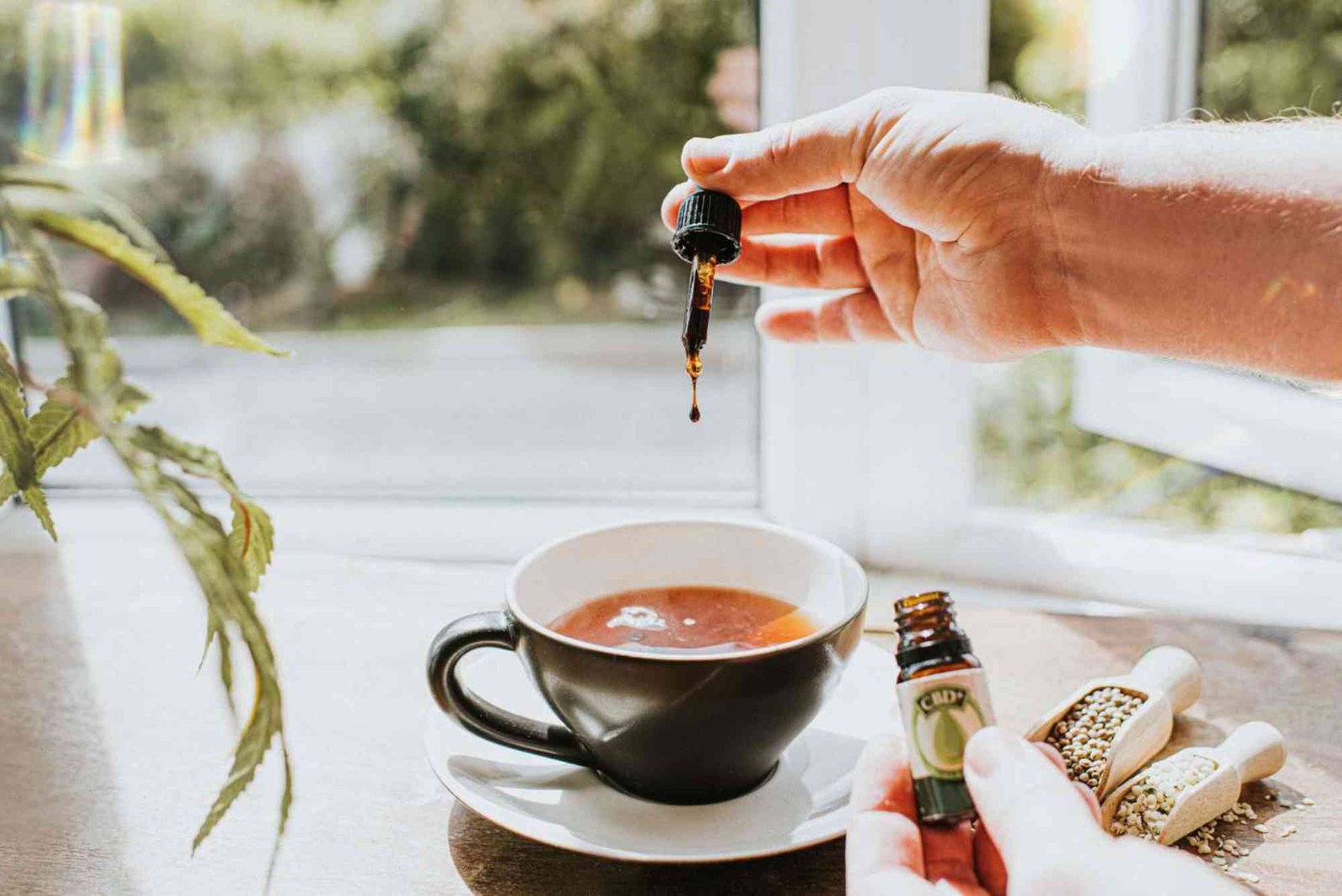 CBD User Feedback UAE