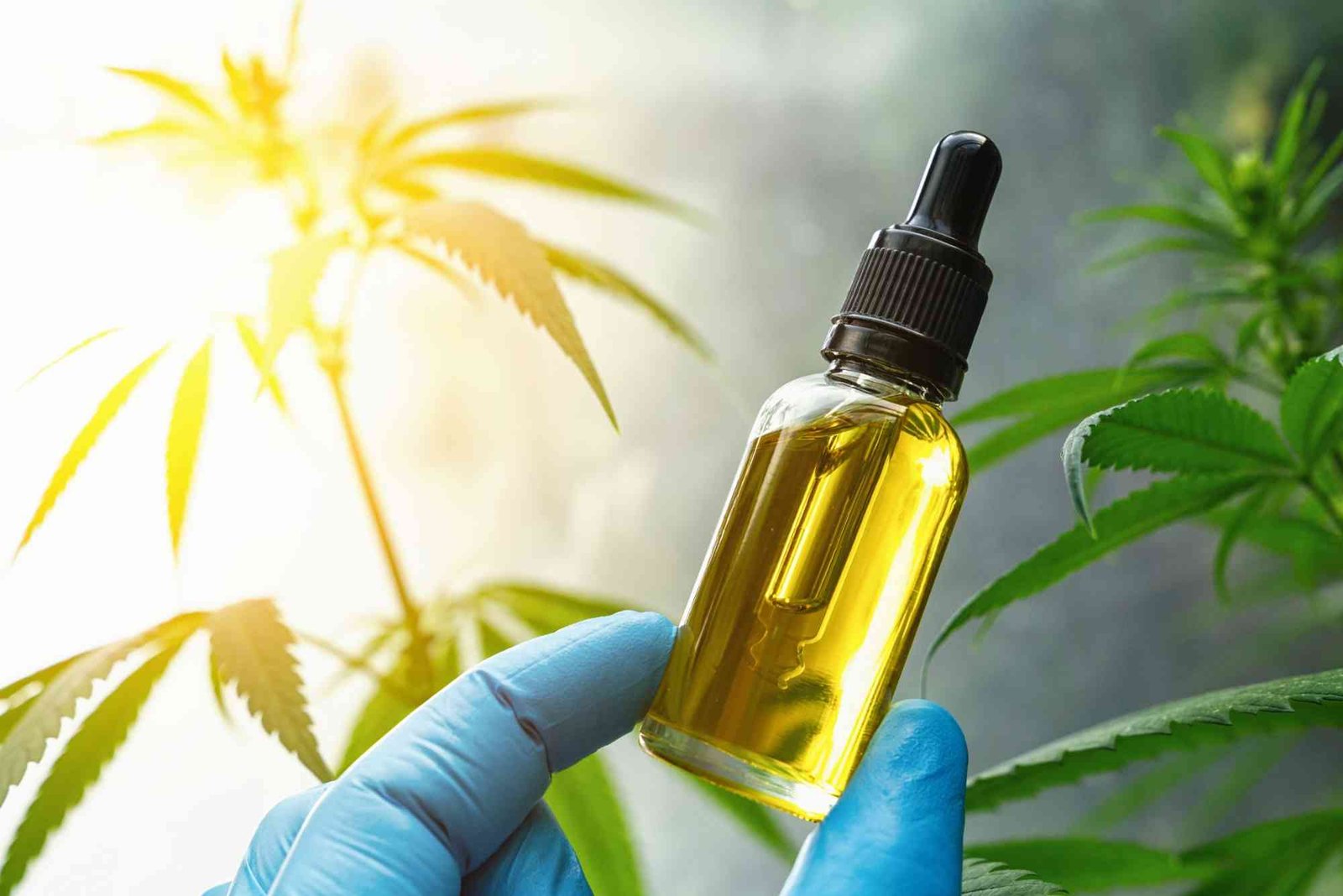 CBD Benefits UAE