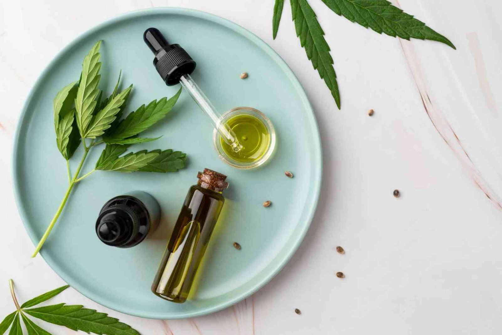 CBD Endocannabinoid System