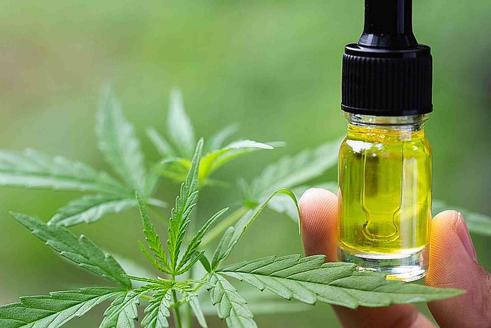 CBD Prescription UAE