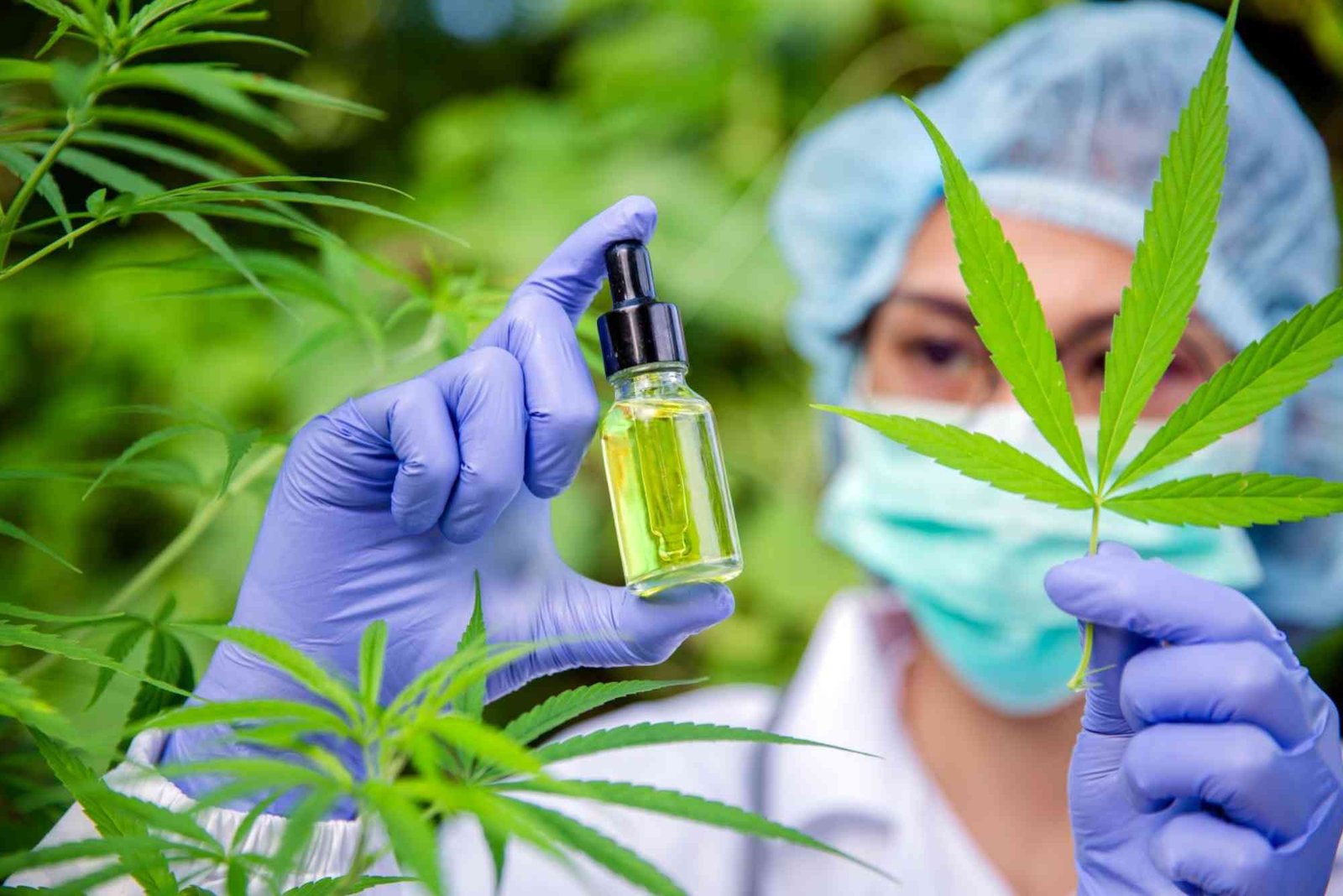 CBD Safety UAE