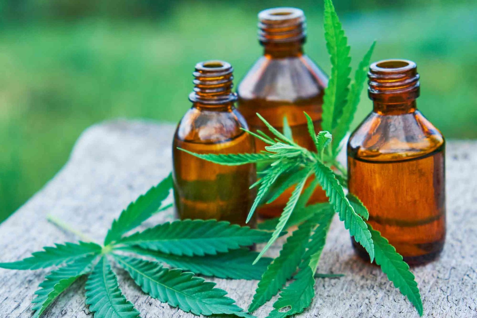 CBD Wellness Trend UAE