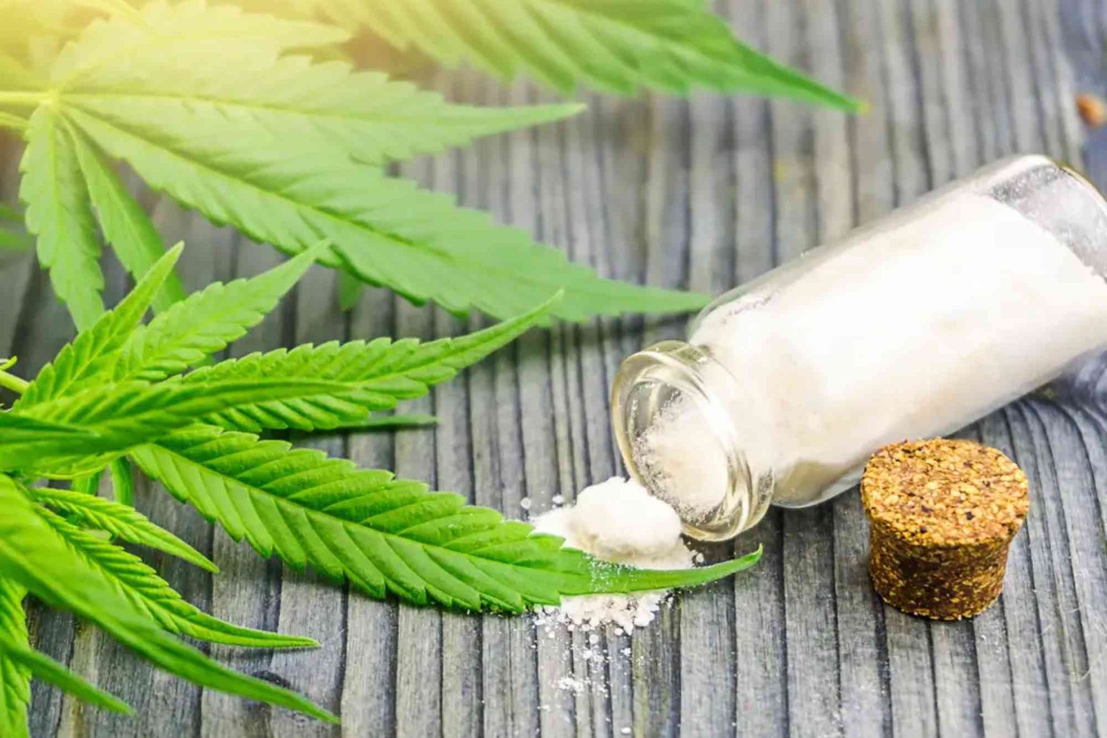 CBD Content Review UAE