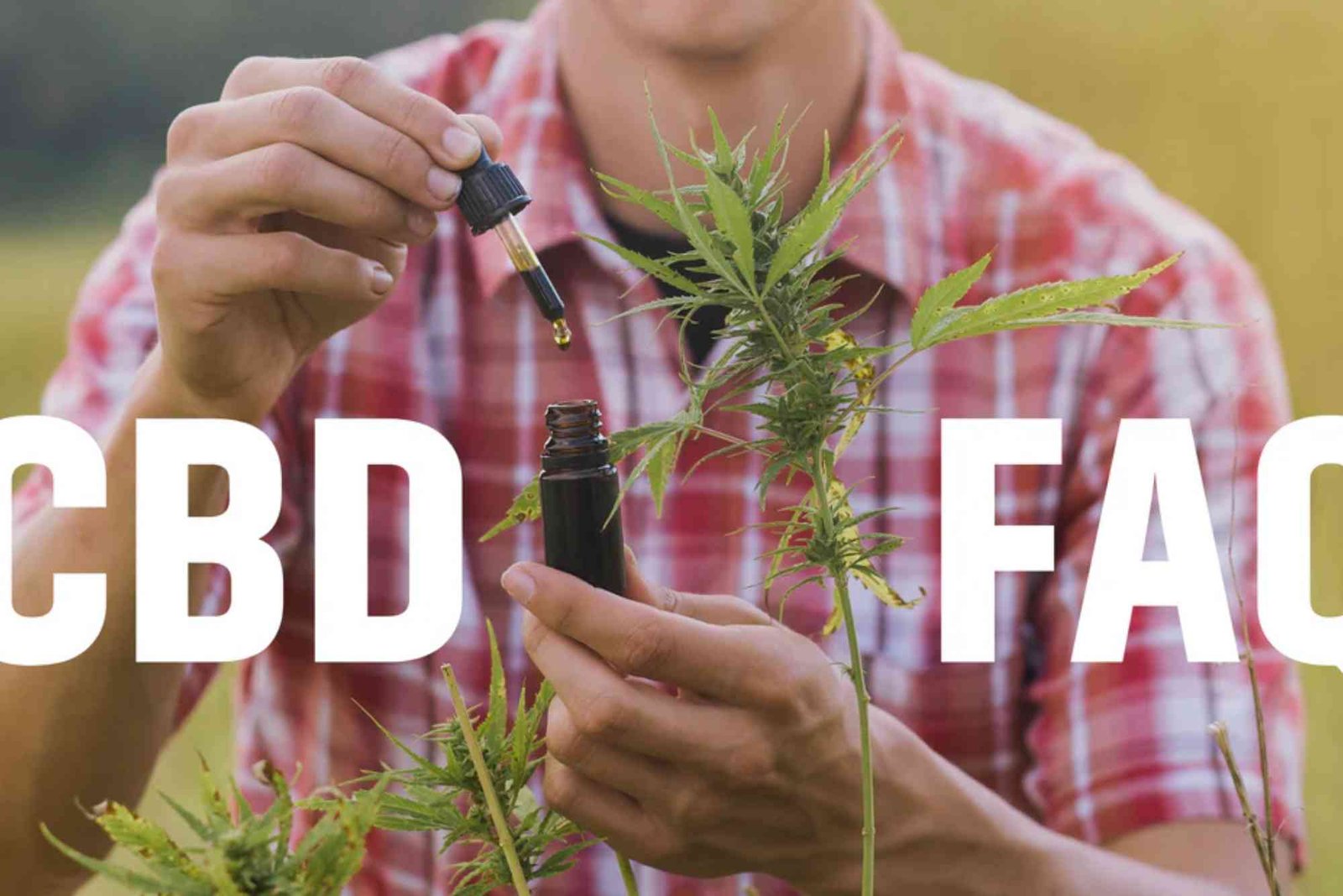 CBD Faq UAE