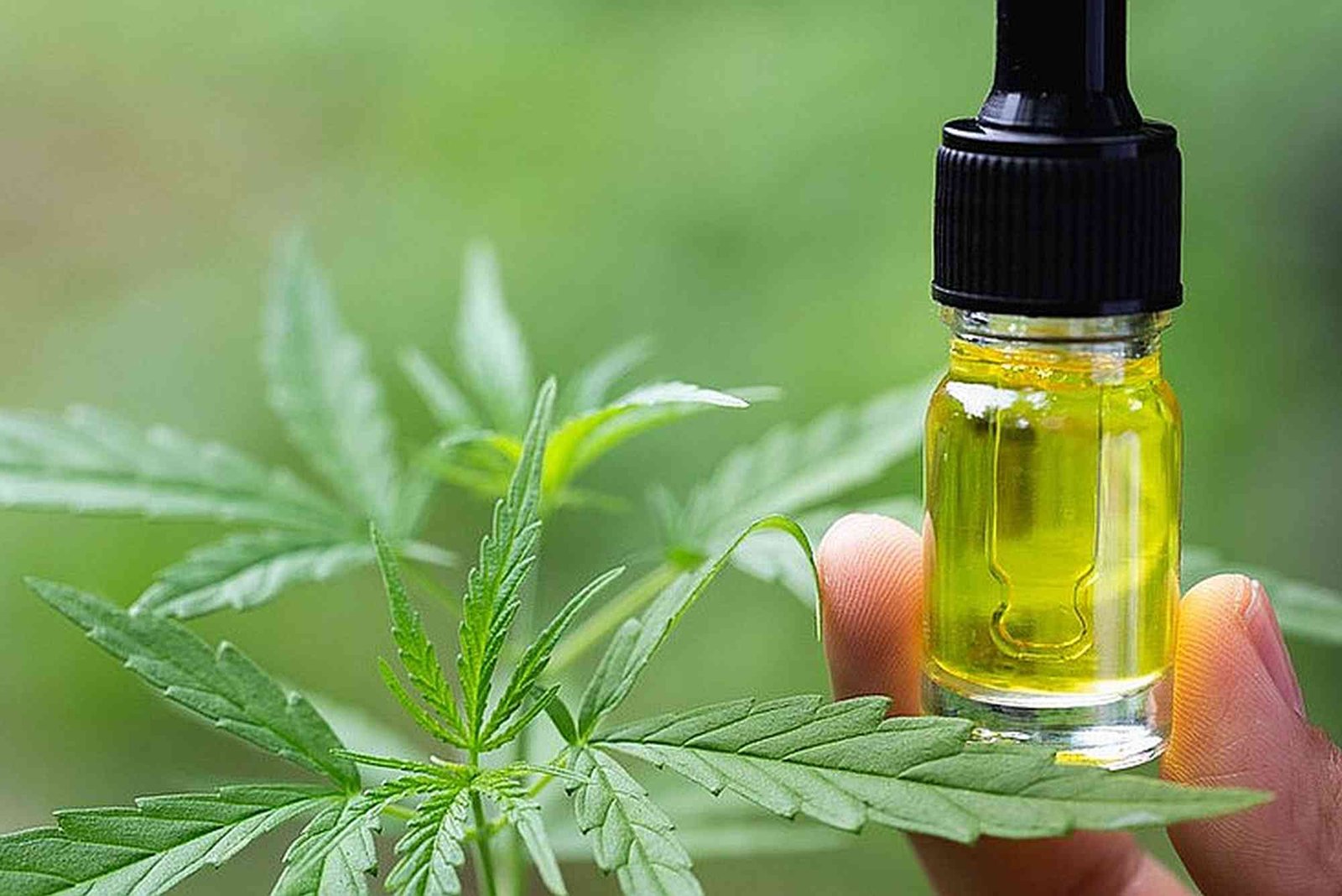 CBD Oil VS Vape UAE