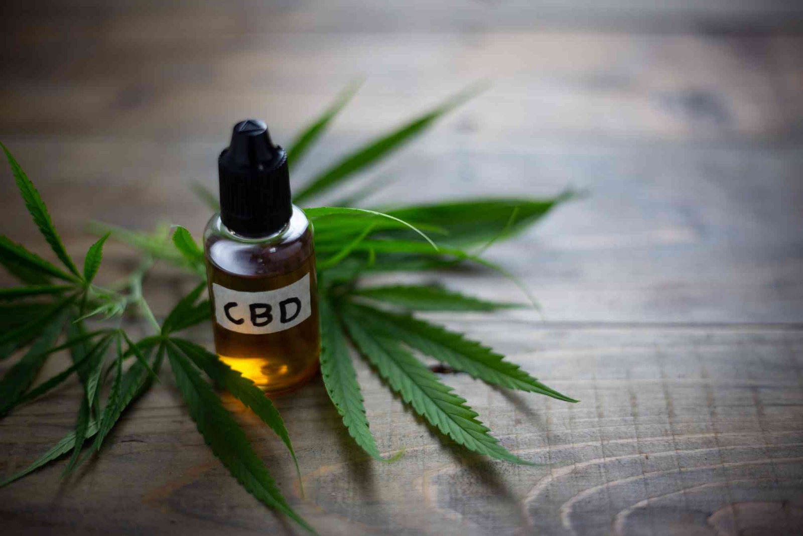 CBD Gulf Comparison