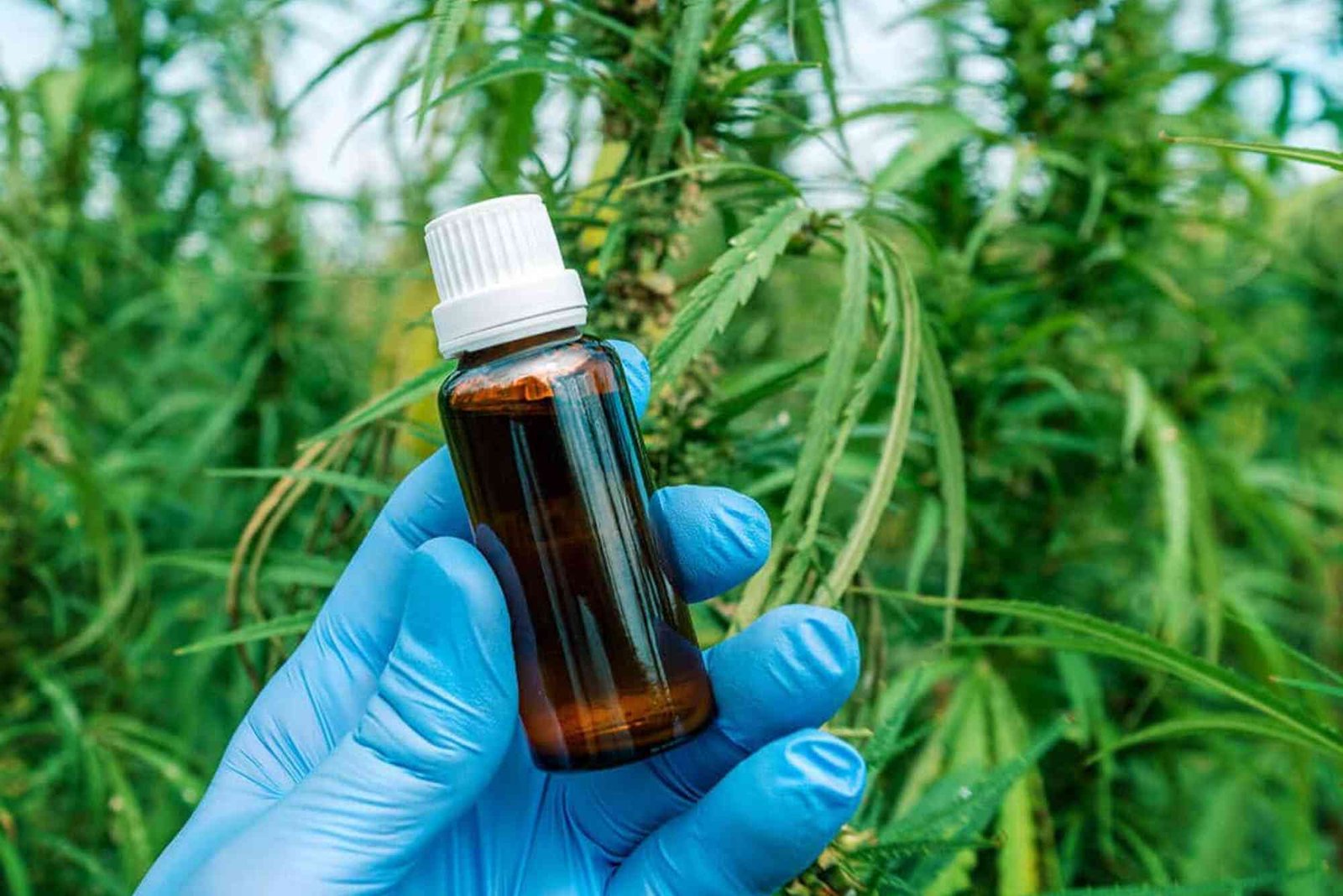 CBD Trends UAE