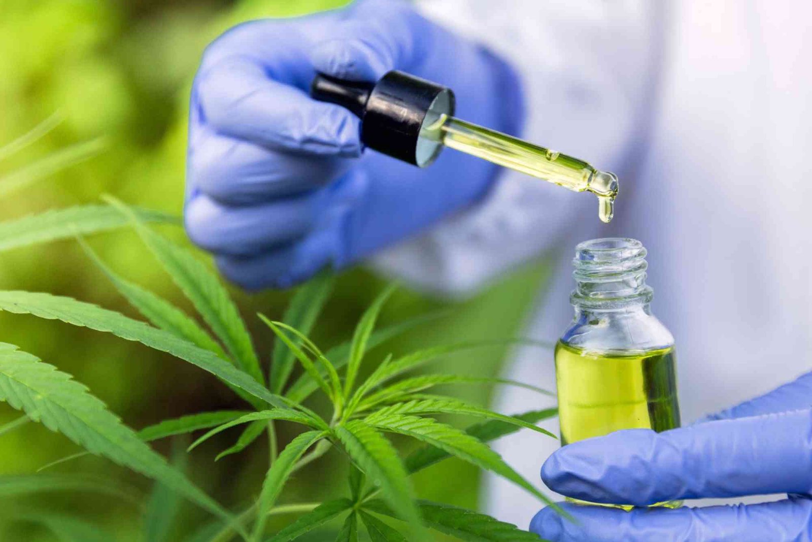 Tryvapex Return Policy