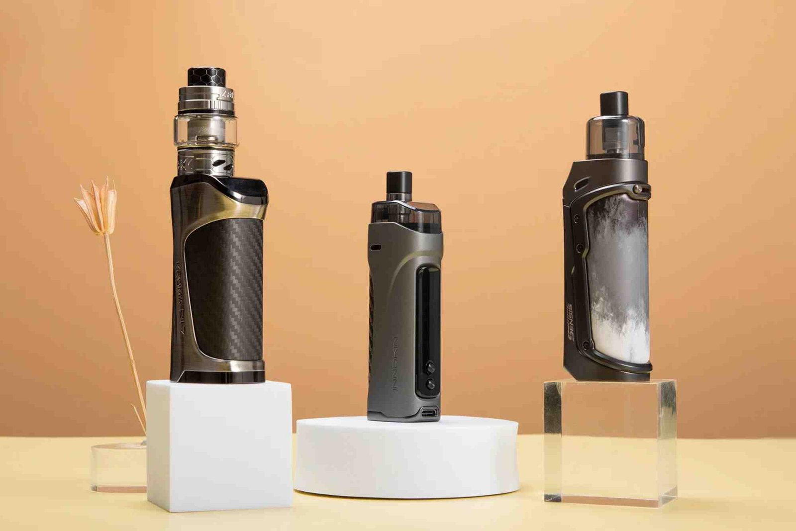 Nicotine Ban 2025